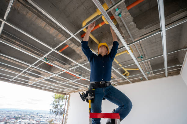 Best Residential Plumbing Services  in White House, TN